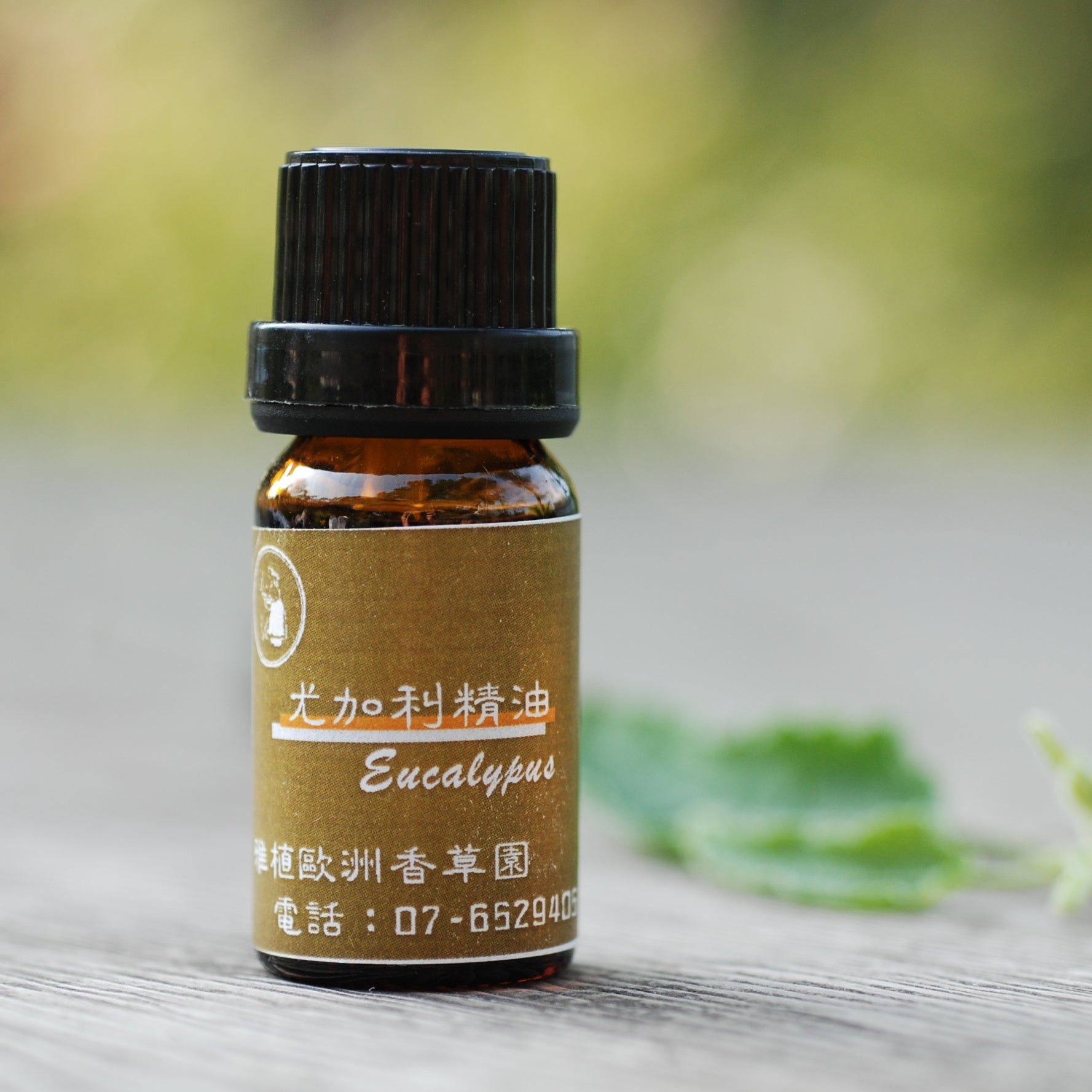 Y04-尤加利精油-10ml/瓶