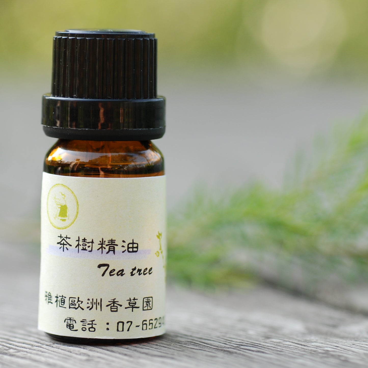 Y08-茶樹精油-10ml/瓶