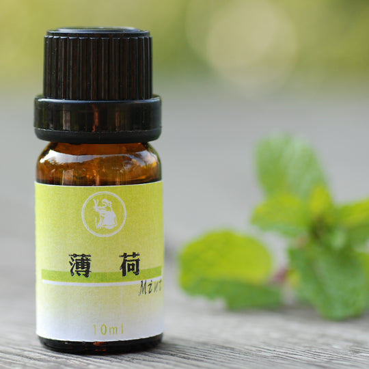Y01-薄荷精油-10ml/瓶