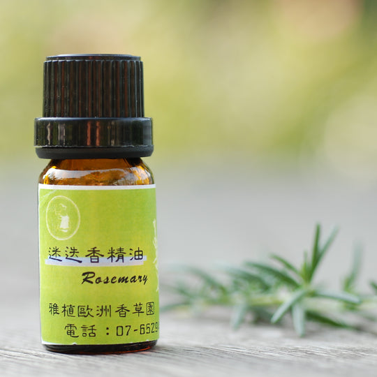 Y03-迷迭香精油-10ml/瓶